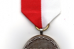 odznaka kombatanckiej odznaki jubileuszowej002